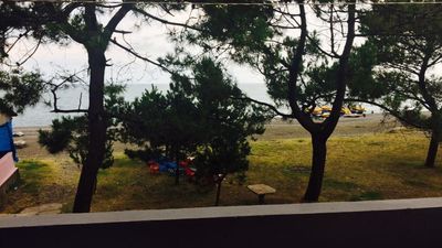 გოლდენ ბიჩ_8